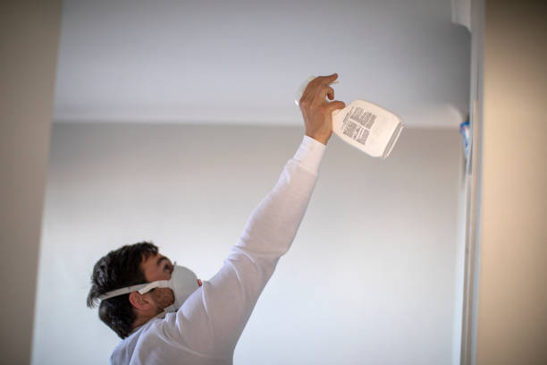 Mold Testing and Removal in Rosendale, WI