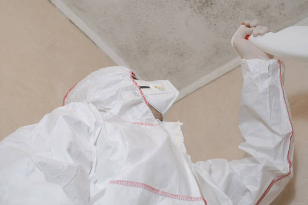 Best Mold Removal and Inspection  in Rosendale, WI